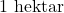 1\text{ hektar}