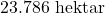 23.786\text{ hektar}